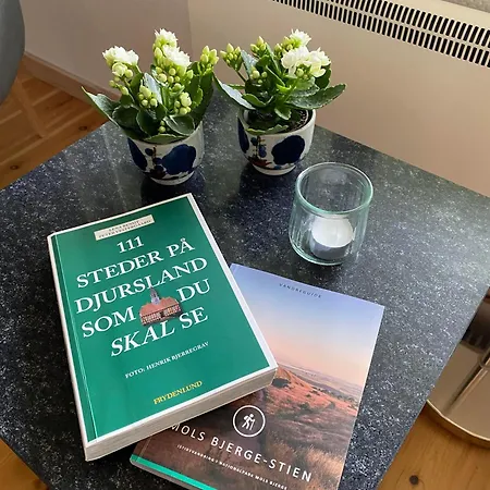 Beautiful 6-person With Near The Perfect For Relaxation Ebeltoft